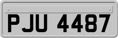 PJU4487