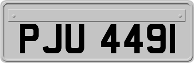 PJU4491