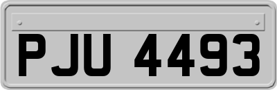 PJU4493