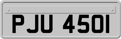 PJU4501