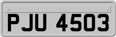 PJU4503