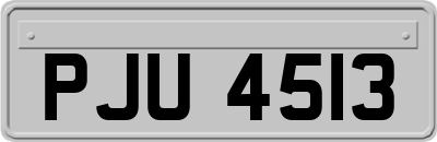 PJU4513