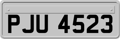 PJU4523