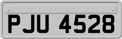 PJU4528