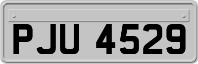 PJU4529