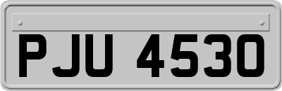 PJU4530