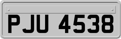 PJU4538