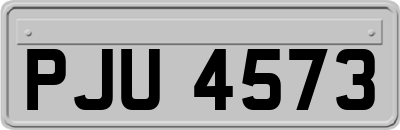 PJU4573