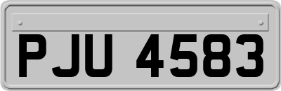 PJU4583