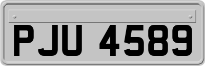 PJU4589