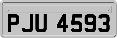 PJU4593