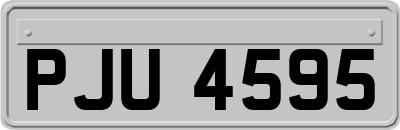 PJU4595