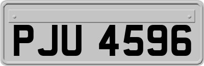 PJU4596