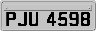 PJU4598