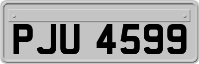 PJU4599