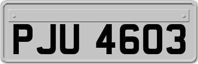 PJU4603