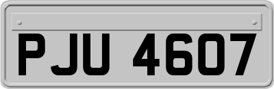 PJU4607