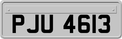PJU4613