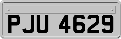 PJU4629