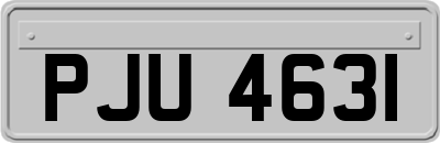 PJU4631