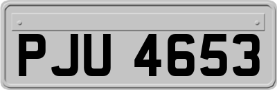 PJU4653