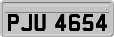 PJU4654