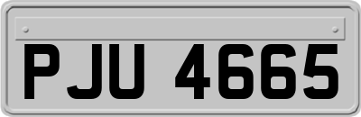 PJU4665