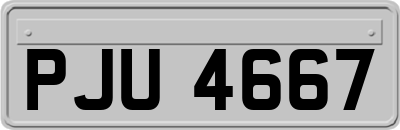 PJU4667