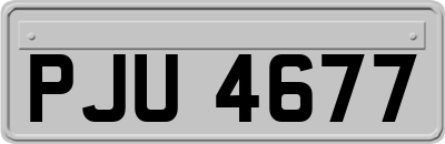 PJU4677