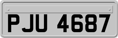 PJU4687