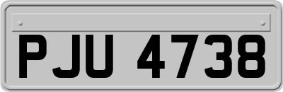 PJU4738