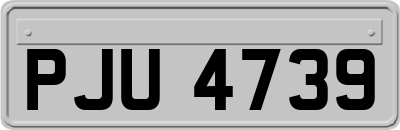 PJU4739
