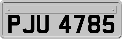 PJU4785