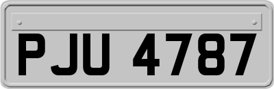 PJU4787