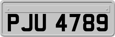 PJU4789
