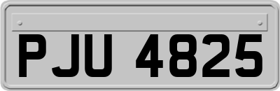 PJU4825