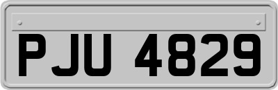 PJU4829