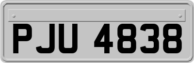 PJU4838