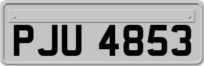 PJU4853