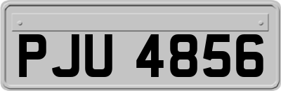 PJU4856