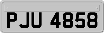 PJU4858