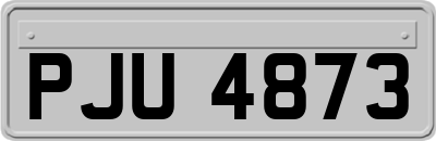 PJU4873