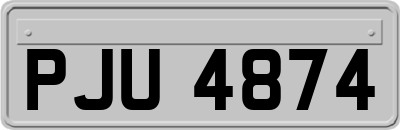 PJU4874