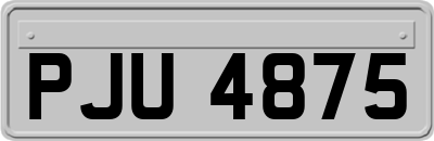 PJU4875