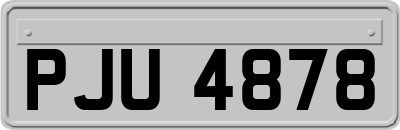 PJU4878