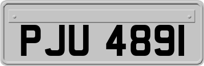PJU4891