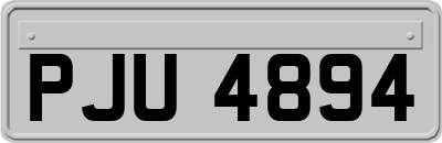 PJU4894