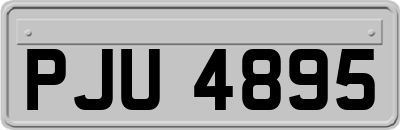 PJU4895