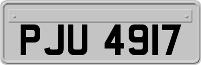 PJU4917
