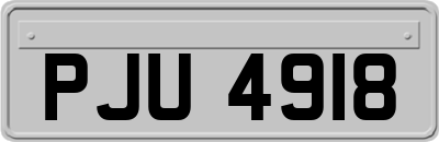 PJU4918